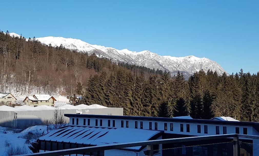 Studio Mountain View Sinaia Luaran gambar