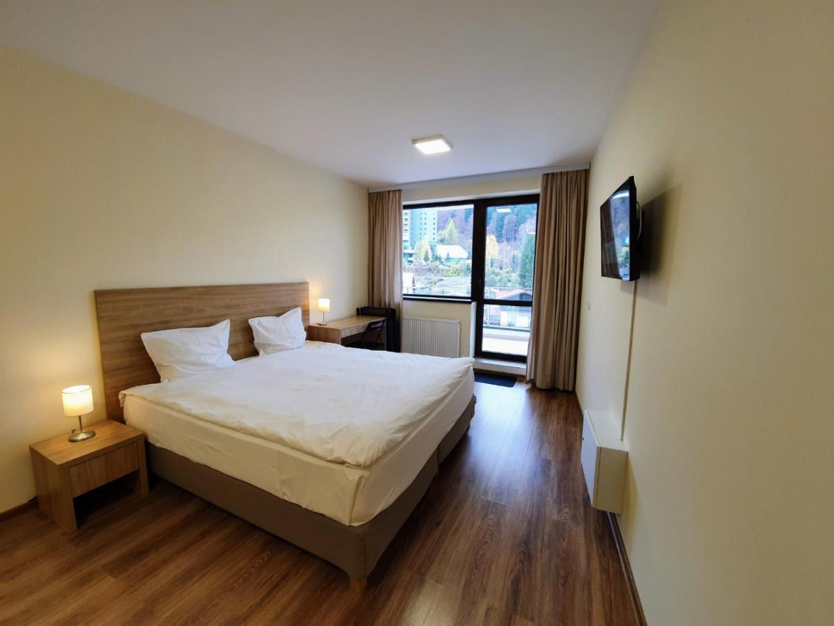 Studio Mountain View Sinaia Luaran gambar