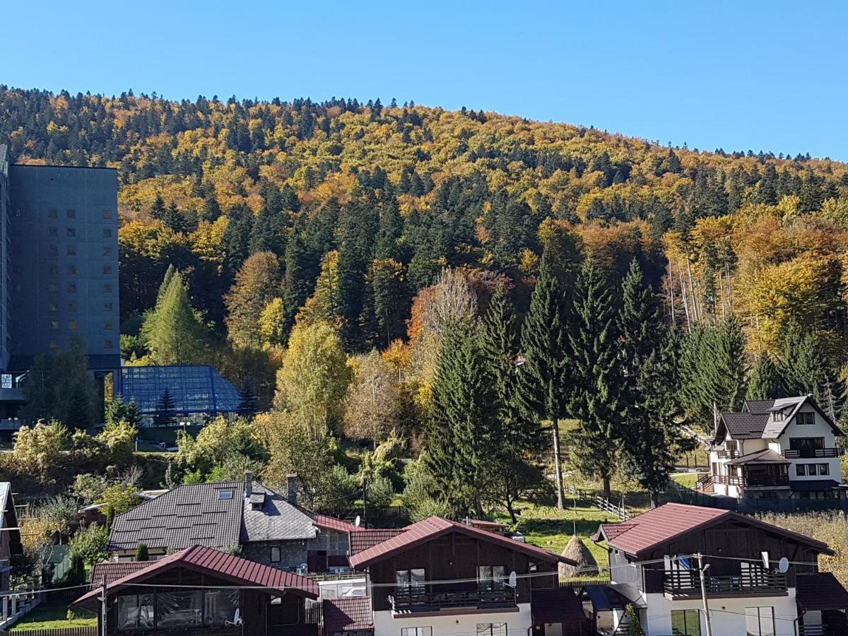 Studio Mountain View Sinaia Luaran gambar