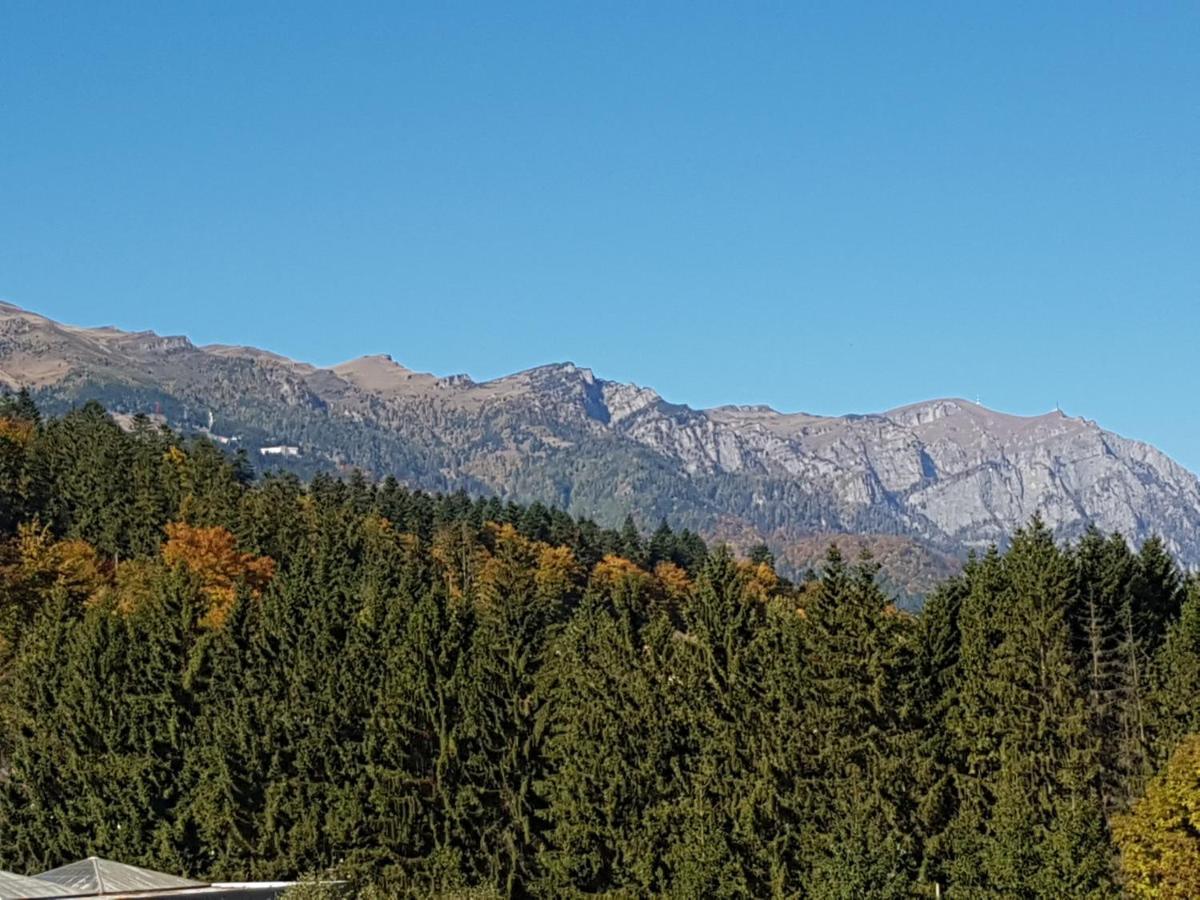 Studio Mountain View Sinaia Luaran gambar