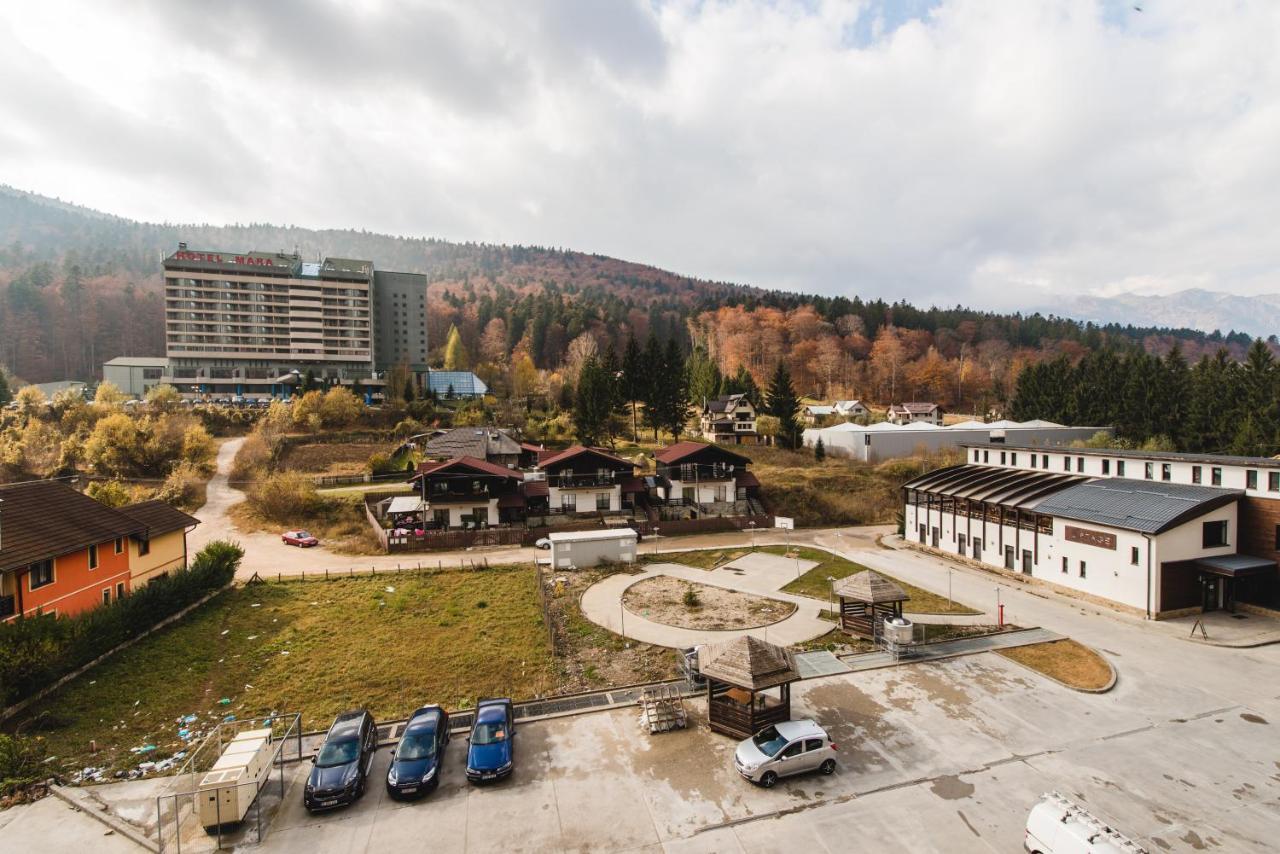 Studio Mountain View Sinaia Luaran gambar