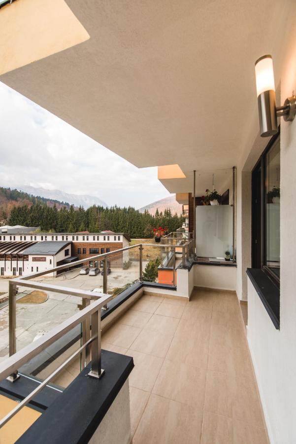Studio Mountain View Sinaia Luaran gambar