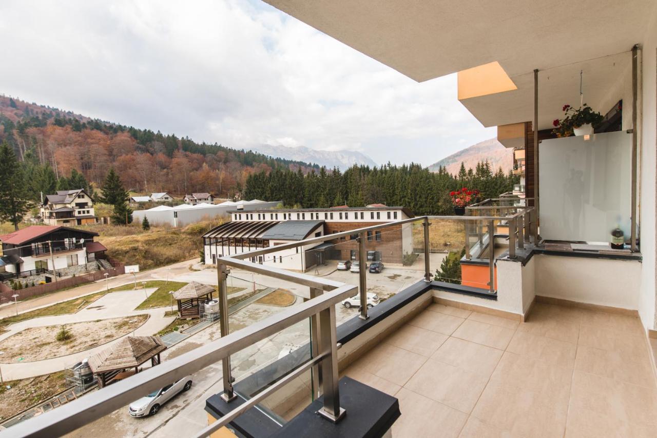 Studio Mountain View Sinaia Luaran gambar