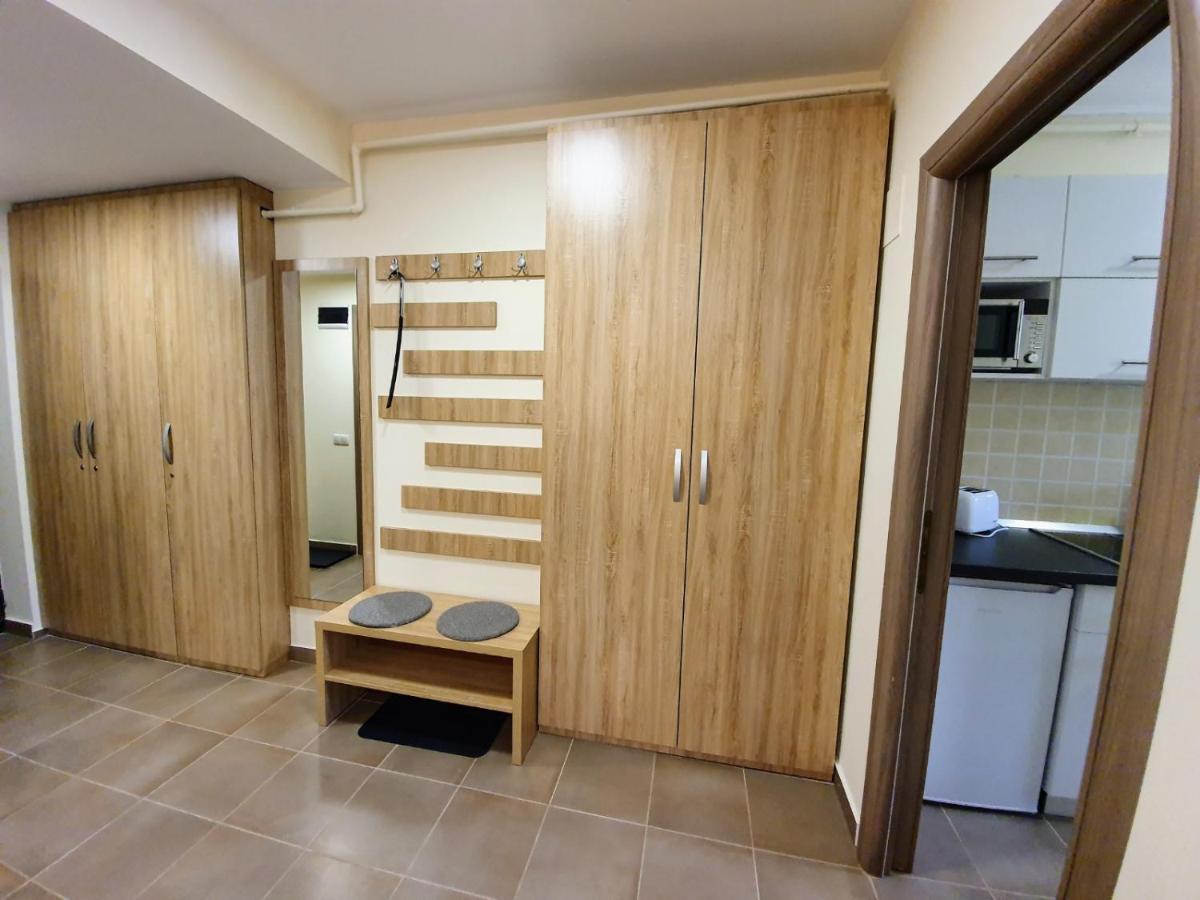 Studio Mountain View Sinaia Luaran gambar