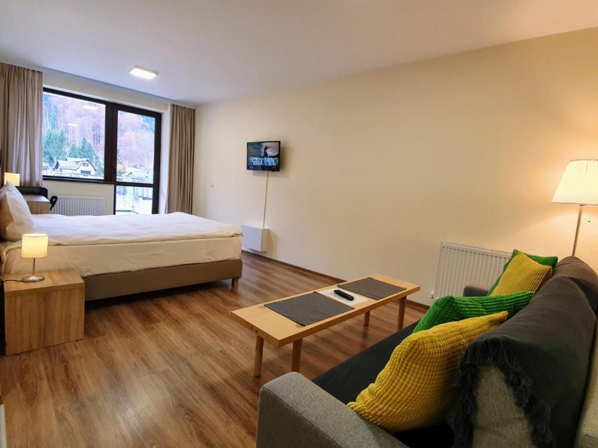 Studio Mountain View Sinaia Luaran gambar