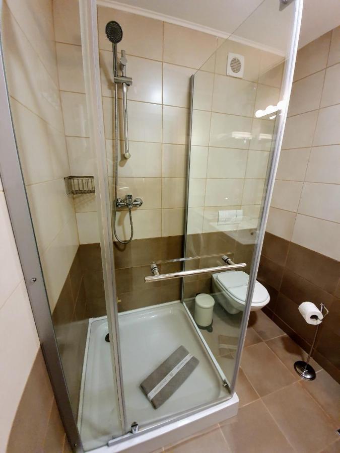 Studio Mountain View Sinaia Luaran gambar
