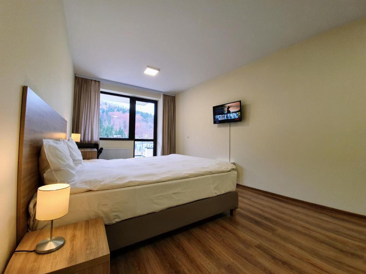Studio Mountain View Sinaia Luaran gambar