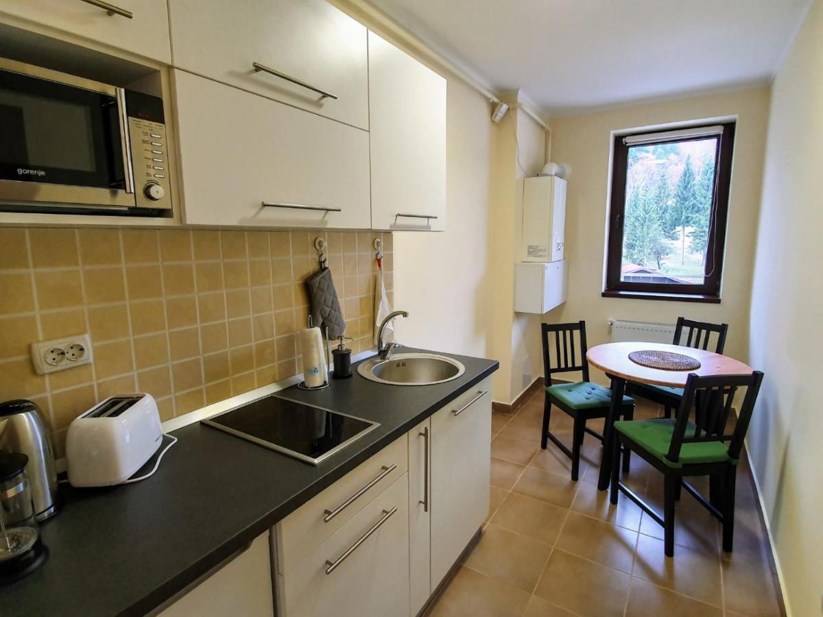 Studio Mountain View Sinaia Luaran gambar